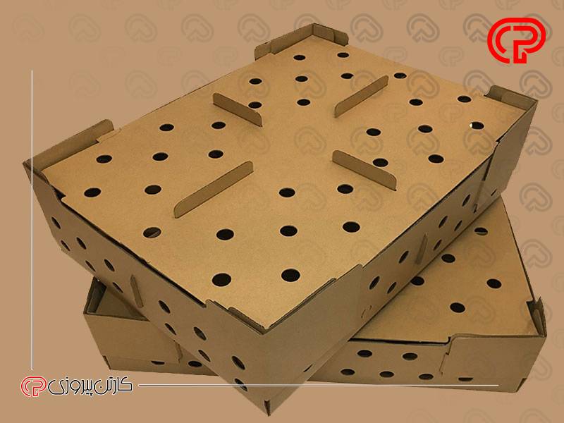 تولید کارتن جوجه و کاربرد های آن